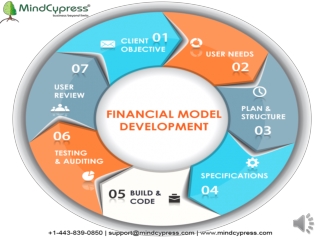 Financial Modelling Course Online,MindCypress