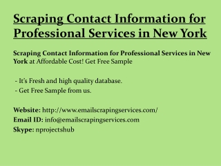 Scraping Contact Information for Professional Services in New York