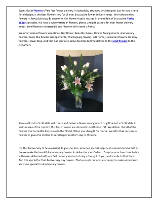Stemsa Florist Flower Delivery