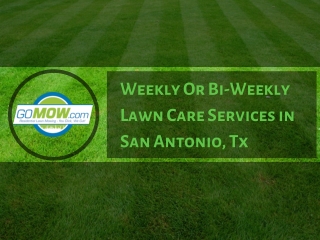 The best weekly or bi-weekly Lawn Care Service in San Antonio, TX