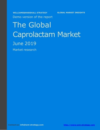 WMStrategy Demo The Global Caprolactam Market June 2019