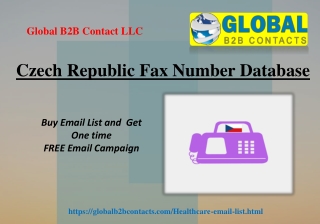 Czech Republic Fax Number Database