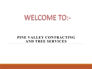 Best Tree Removal Service in Promontory