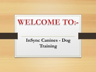 Get the best Canine Training in Victoria