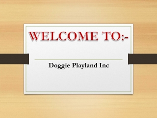One of the best Puppy Training in Sunnylea