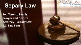Child Protection Lawyer in Toronto - Separy Law