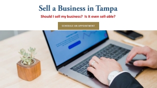 Sell a business in tampa www.buysellbizfl