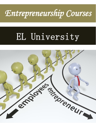Entrepreneurship Courses at ELU