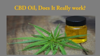 CBD Oil, Does It Really work?