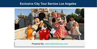 Exclusive City Tour Service Los Angeles