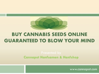 Buy Cannabis Seeds Online Guaranteed to Blow Your Mind