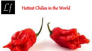 Hottest Chilies in the World