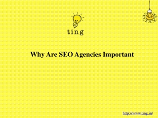 Why Are SEO Agencies Important?