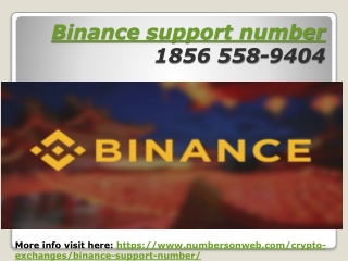 Binance support number