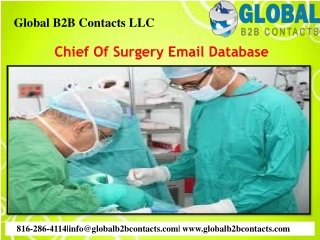 Chief Of Surgery Email Database