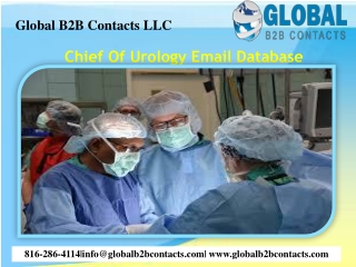 Chief Of Urology Email Database