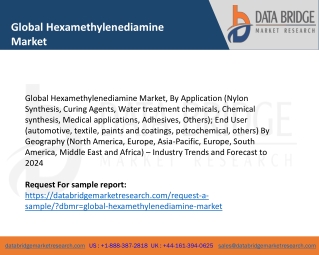 Global Hexamethylenediamine Market– Industry Trends and Forecast to 2024