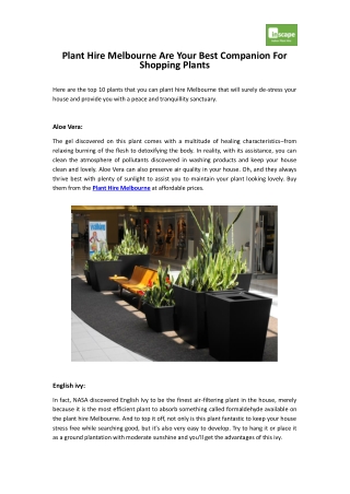 Plant Hire Melbourne Are Your Best Companion For Shopping Plants