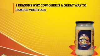 5 REASONS WHY COW GHEE IS A GREAT WAY TO PAMPER YOUR HAIR