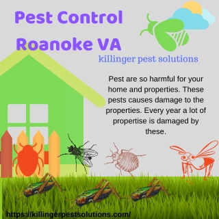 Pest Control Roanoke VA | Killinger Pest Solutions