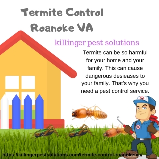 Termite Control Roanoke VA