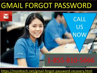 For any query on Gmail, Forgot Password issues call us 1-855-810-5666