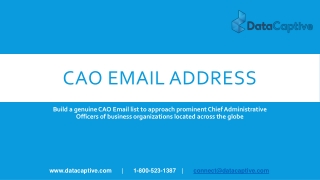 How do I get a genuine email database of Chief Administrative Officer