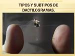 TIPOS Y SUBTIPOS DE DACTILOGRAMAS.
