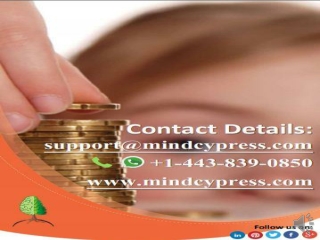 !!Financial Modelling Course Online,MindCypress,PPT