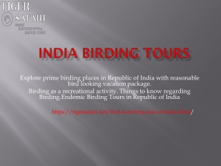 India birding tours- Tiger safari