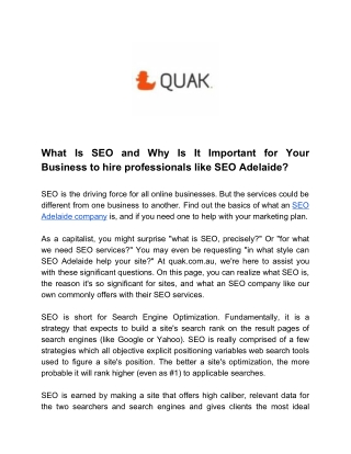 What Is SEO and Why Is It Important for Your Business to hire professionals like SEO Adelaide?