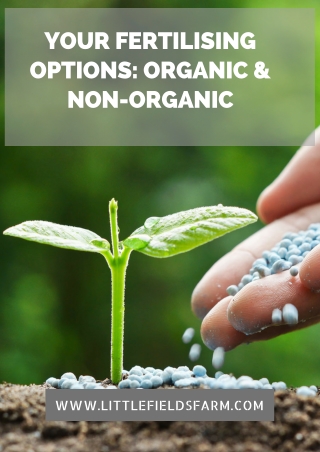 Your Fertilising Options: Organic & Non-Organic