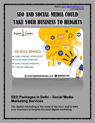 SEO Packages in Delhi - Social Media Marketing Services