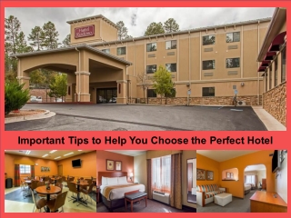 Important Tips to Help You Choose the Perfect Hotel