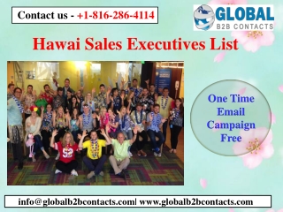 Hawai Sales Executives List