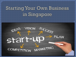 Starting Your Own Business in Singapore