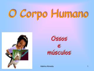 O Corpo Humano