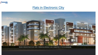 Flats in Electronic City