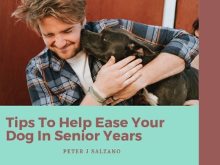 Peter J Salzano: Tips To Help Ease Your Dog In Senior Years