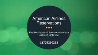 Feel like Vacation Book your American Airlines Flights now