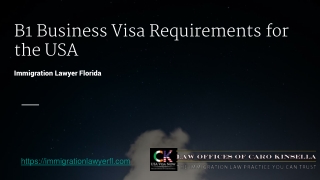 B1 Visa Requirements for the USA