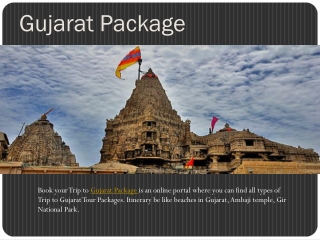 Gujarat Package