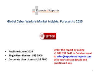 Global Cyber Warfare Market Insights, Size, Share, in-coming Trends, Demand and Future Forecast to 2025