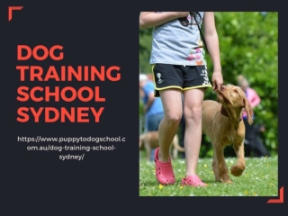 Dog Training School Sydney