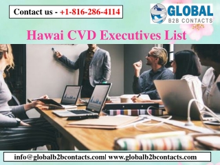 Hawai Cvd Executives List