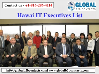 Hawai IT Executives List