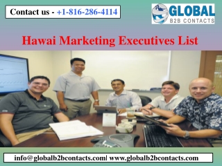 Hawai Marketing Executives List