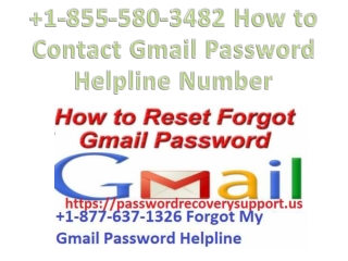 How to Contact Gmail Password Helpline Number