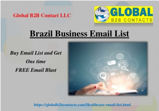 Brazil Business Email List