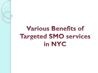 Various Benefits of Targeted SMO services in NYC